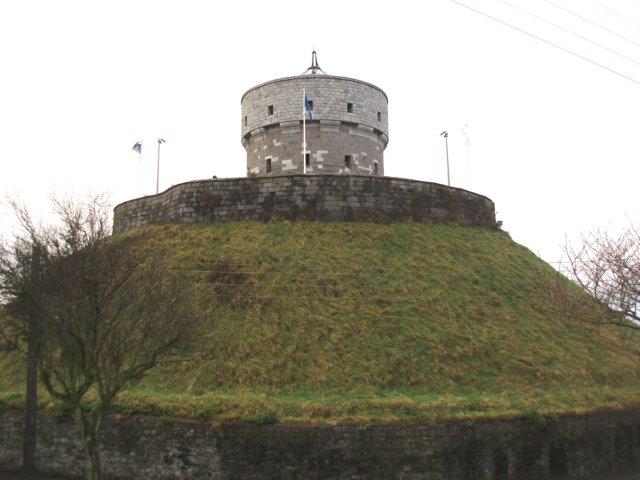 pc130010_p.jpg