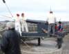 pc130071_p_small.jpg